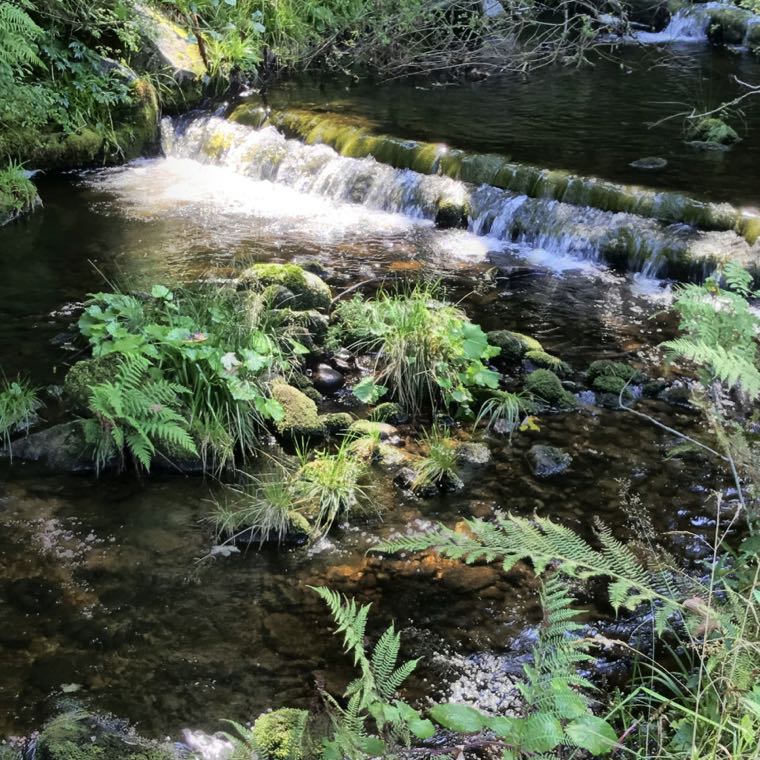 anbt_ateliers soundscapes_beispiel rechtmurg2